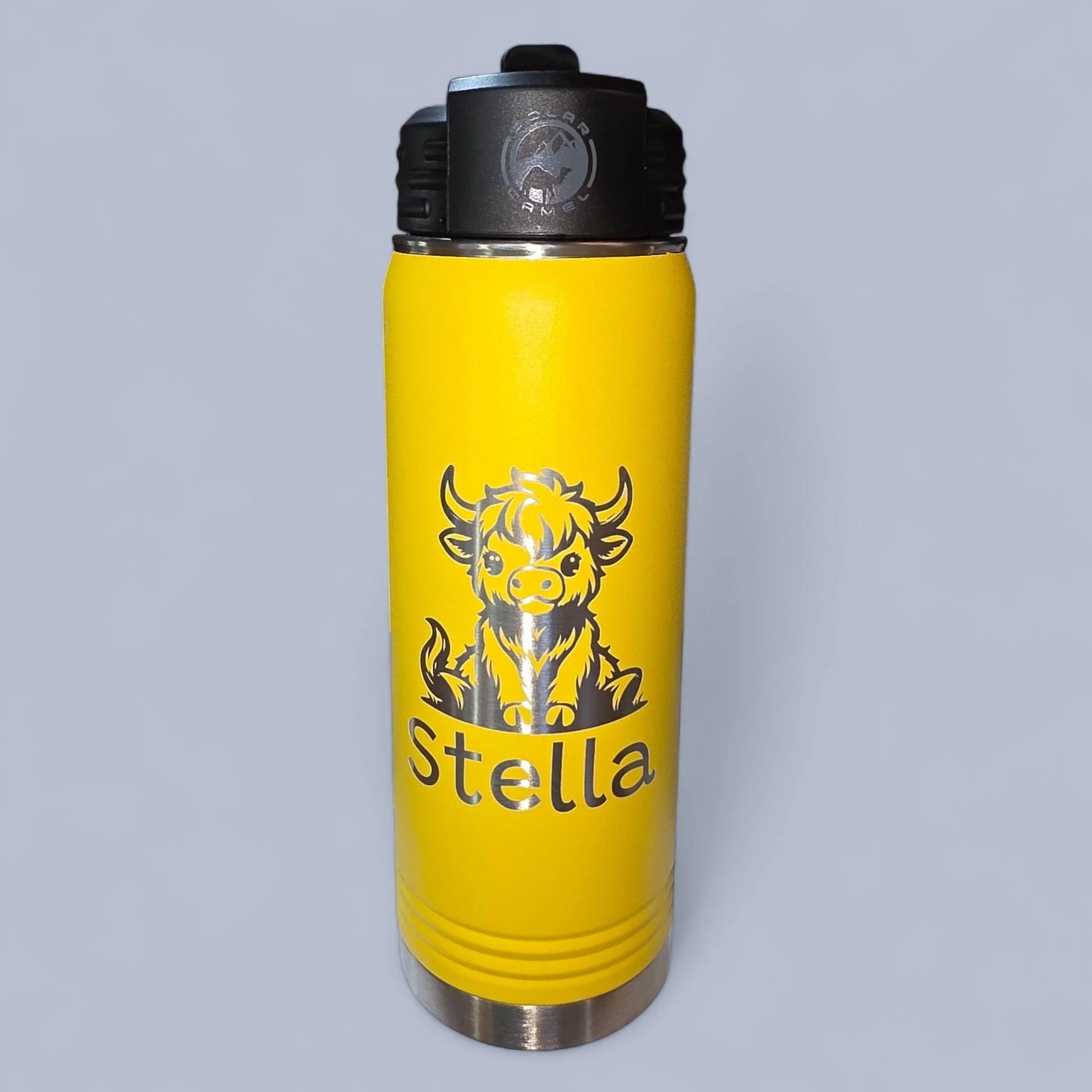 20 oz Water Bottle with Straw